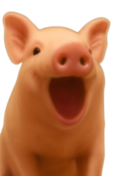 Pig open